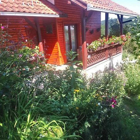 Guest House Little Heaven Užice Exteriér fotografie